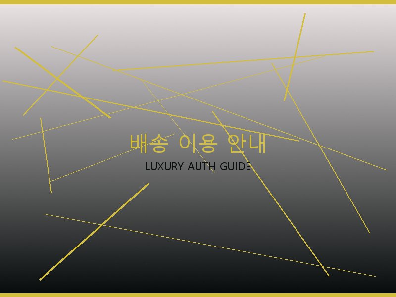 파파라초 미디엄 탑핸들 레플 배송 이용 안내