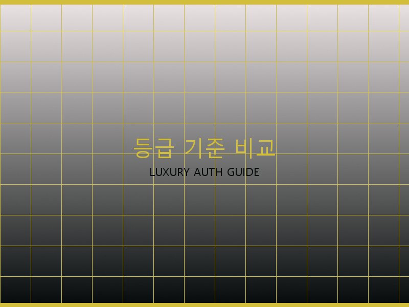 파파라초 미디엄 탑핸들 레플 등급 기준 비교