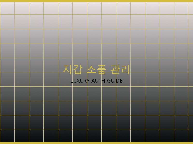 파파라초 미디엄 탑핸들 레플 지갑·소품 관리